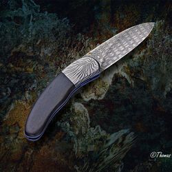 Ebony Reptilian Stainless Damascus Dress Folder other side view