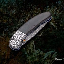 Ebony Reptilian Stainless Damascus Dress Folder closed view