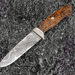 Begbie Damascus and Maple Burl Hunting Knife main view