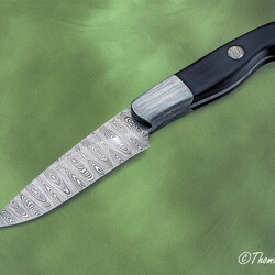 Cape Breton Hunter in Ladder Damascus and Ebony Handle