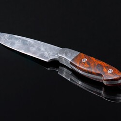 Raindrop Damascus Bird and Trout Knife with Desert Ironwood Handle side view