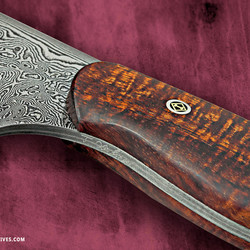 10.5&amp;quot; bladed Carbon Damascus Chef with Curly Koa Handle