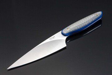 Stainless Chef knife with silver twill and blue G10