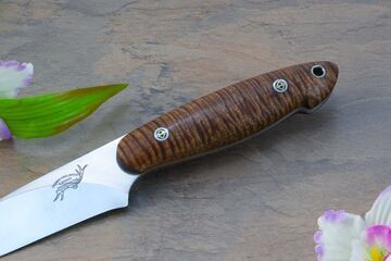 Curly koa utility knife with CPM S35-VN stainless blade