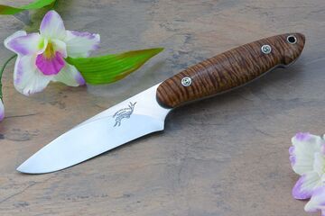 Curly koa utility knife with CPM S35-VN stainless blade