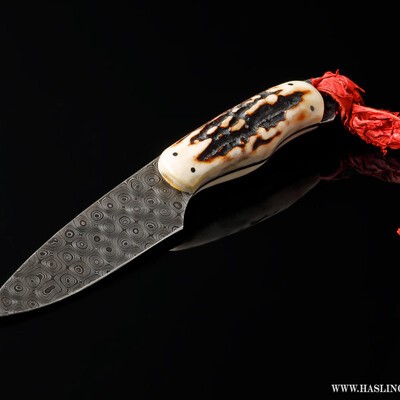 Raindrop Damascus Stag Handled Bird and Trout Knife with textured leather sheath main view