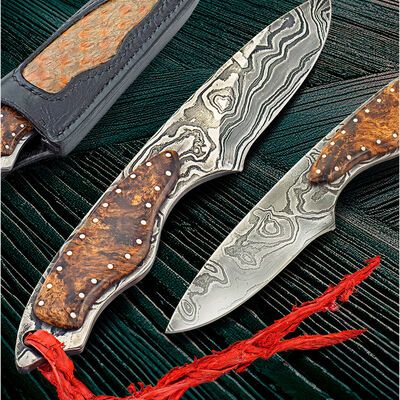 Stabilized Maple Burl Random Damascus Bird Utility Knife