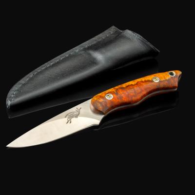 Two toned Thuya Burl Utility Knife with leather sheath