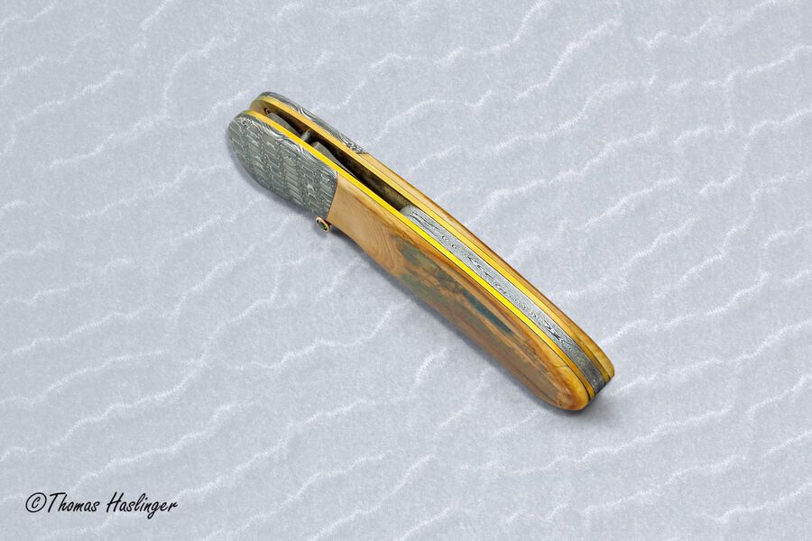 Stainless Mosaic Damascus Folder with Mammoth Ivory Gold and Peridot spine view