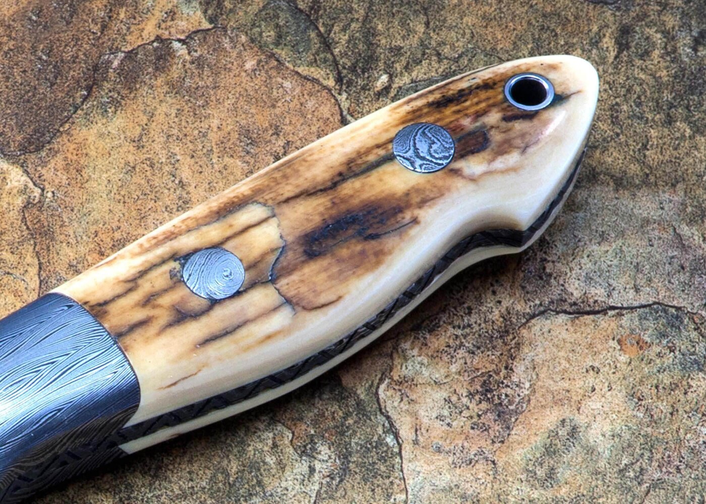 Crowsnest Damascus and Ivory Hunter close up
