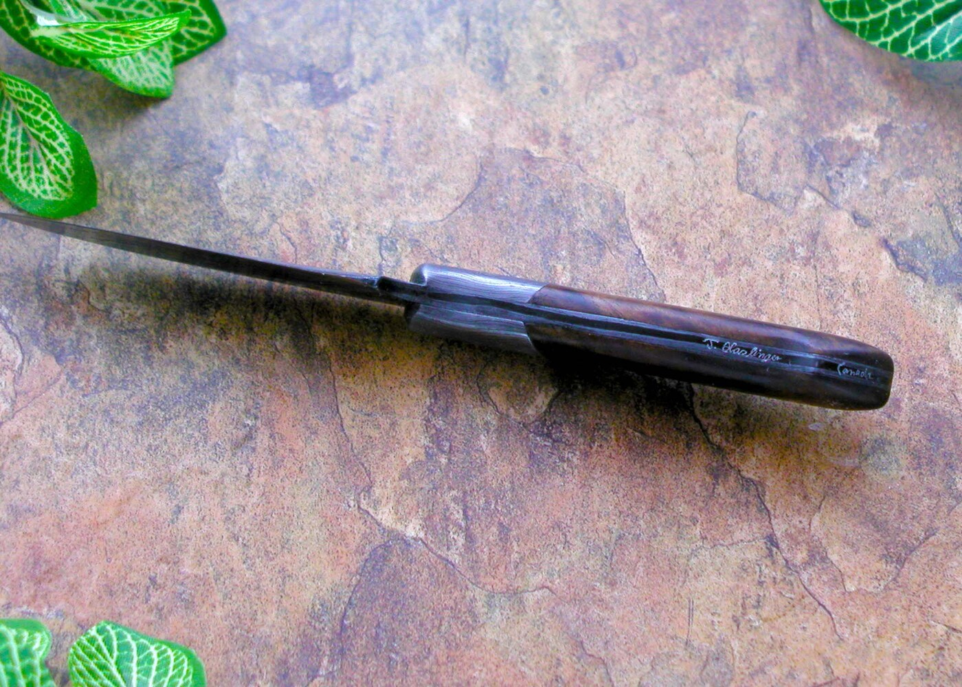 Damascus and Americal Walnut Bird and Trout spine view