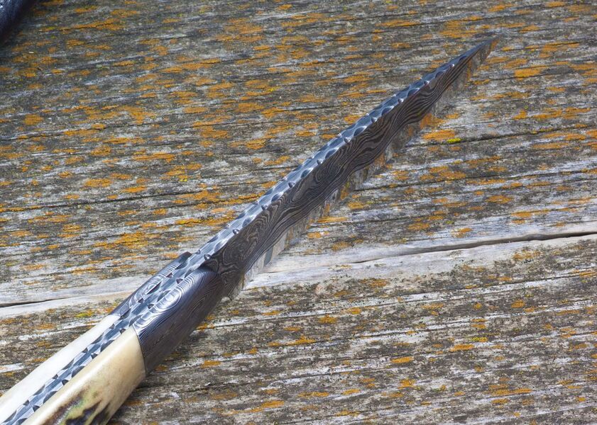 Kernmantle Damascus Stag Hunter spine view