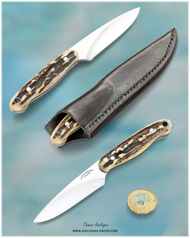 Sambar Stag Bird and Trout Knife Nitro V