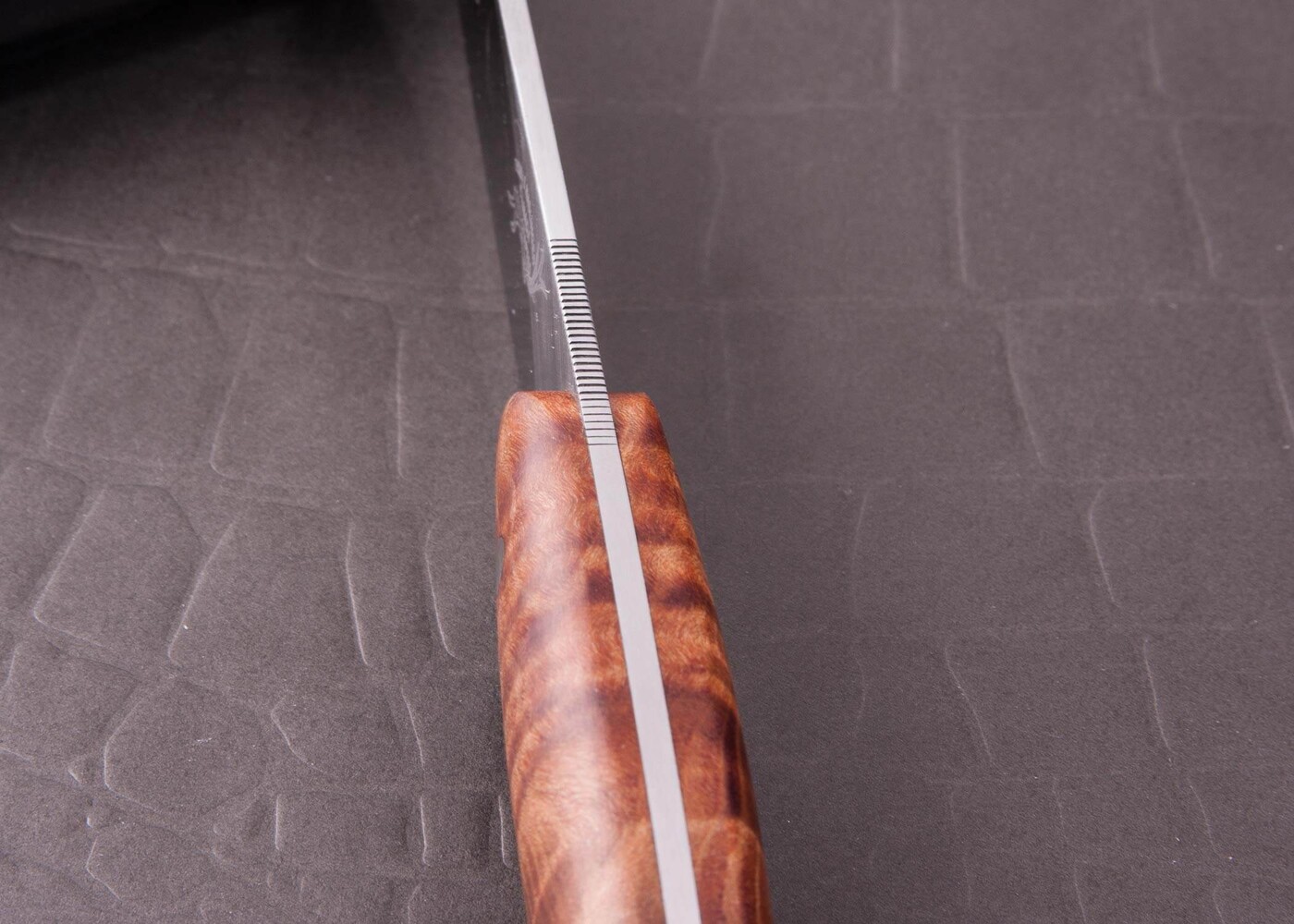 Fiddleback Maple Huntress in CPM S35-VN Stainless spine view